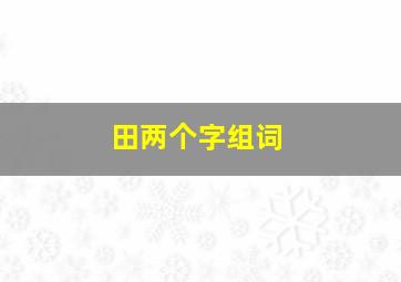 田两个字组词