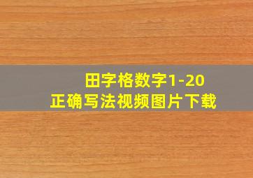 田字格数字1-20正确写法视频图片下载