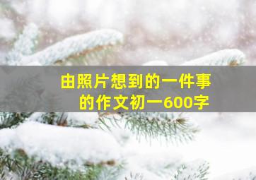 由照片想到的一件事的作文初一600字