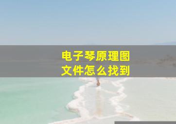 电子琴原理图文件怎么找到