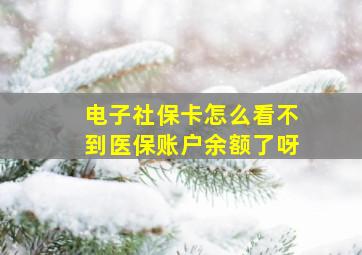 电子社保卡怎么看不到医保账户余额了呀