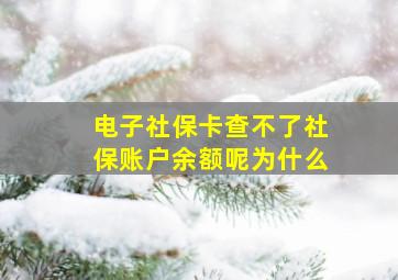 电子社保卡查不了社保账户余额呢为什么