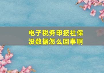 电子税务申报社保没数据怎么回事啊