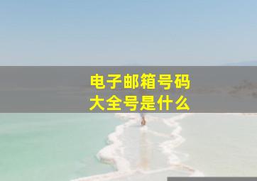 电子邮箱号码大全号是什么