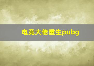 电竞大佬重生pubg