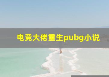 电竞大佬重生pubg小说