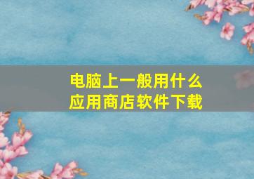 电脑上一般用什么应用商店软件下载