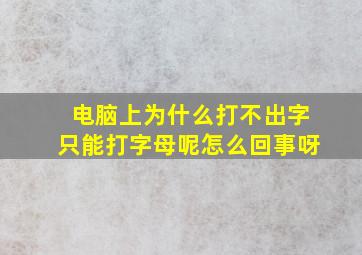 电脑上为什么打不出字只能打字母呢怎么回事呀