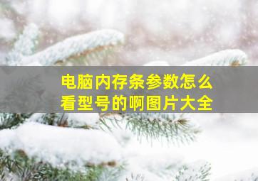 电脑内存条参数怎么看型号的啊图片大全