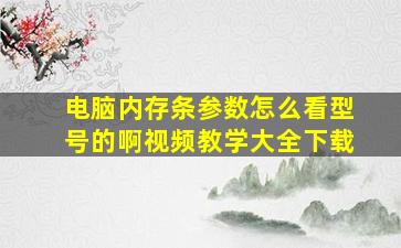 电脑内存条参数怎么看型号的啊视频教学大全下载