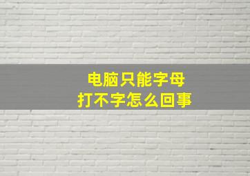 电脑只能字母打不字怎么回事