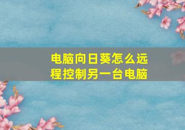 电脑向日葵怎么远程控制另一台电脑