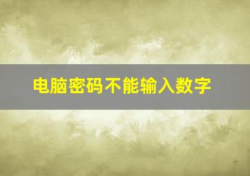 电脑密码不能输入数字