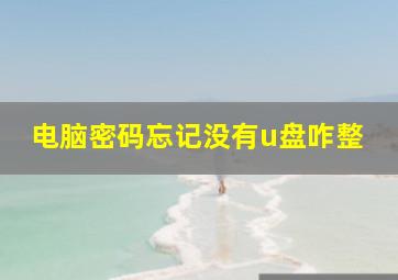 电脑密码忘记没有u盘咋整