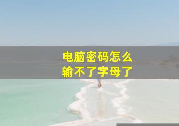 电脑密码怎么输不了字母了