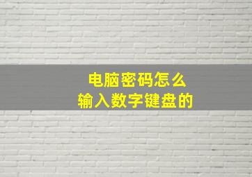 电脑密码怎么输入数字键盘的