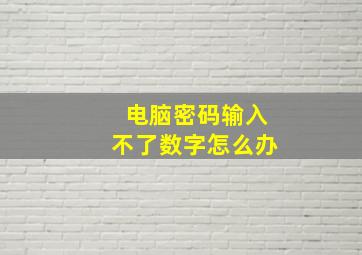 电脑密码输入不了数字怎么办