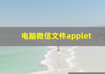 电脑微信文件applet