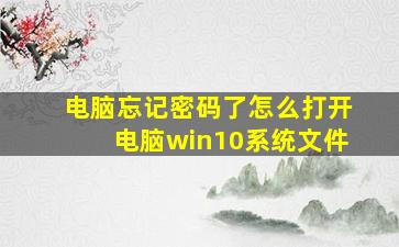 电脑忘记密码了怎么打开电脑win10系统文件