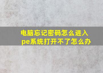 电脑忘记密码怎么进入pe系统打开不了怎么办