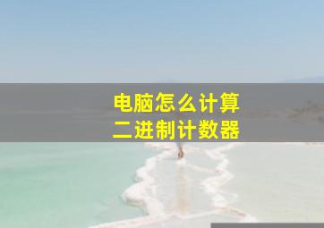 电脑怎么计算二进制计数器