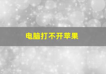 电脑打不开苹果