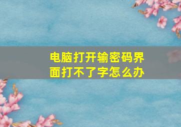 电脑打开输密码界面打不了字怎么办