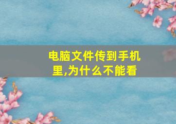 电脑文件传到手机里,为什么不能看