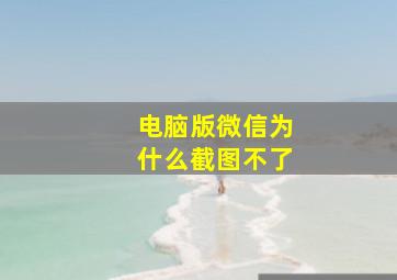 电脑版微信为什么截图不了