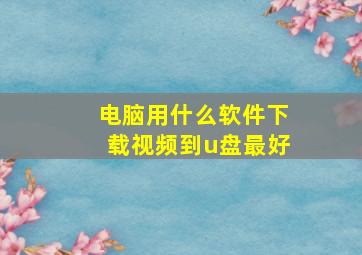 电脑用什么软件下载视频到u盘最好