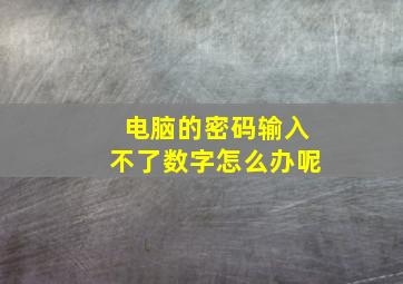 电脑的密码输入不了数字怎么办呢