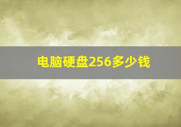 电脑硬盘256多少钱