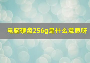 电脑硬盘256g是什么意思呀