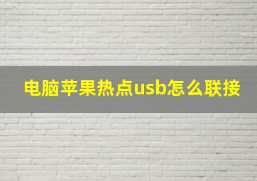 电脑苹果热点usb怎么联接