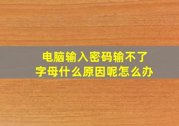 电脑输入密码输不了字母什么原因呢怎么办