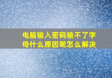 电脑输入密码输不了字母什么原因呢怎么解决