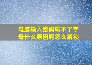 电脑输入密码输不了字母什么原因呢怎么解锁