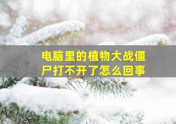 电脑里的植物大战僵尸打不开了怎么回事