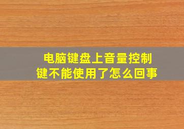 电脑键盘上音量控制键不能使用了怎么回事