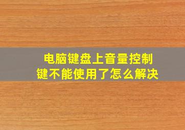 电脑键盘上音量控制键不能使用了怎么解决