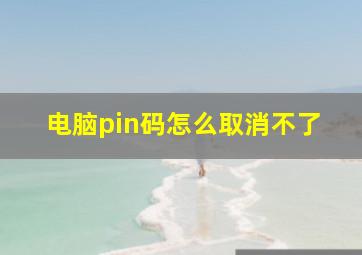 电脑pin码怎么取消不了