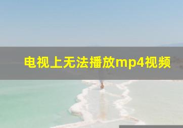 电视上无法播放mp4视频