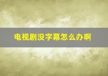 电视剧没字幕怎么办啊