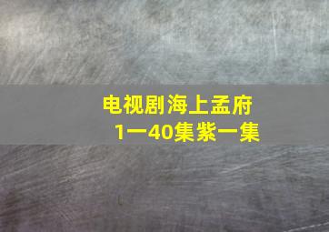 电视剧海上孟府1一40集紫一集