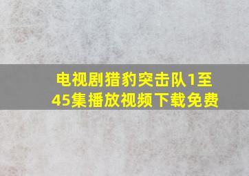 电视剧猎豹突击队1至45集播放视频下载免费