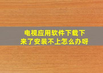 电视应用软件下载下来了安装不上怎么办呀