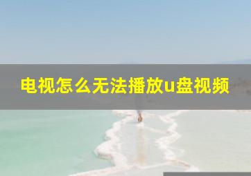 电视怎么无法播放u盘视频