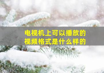 电视机上可以播放的视频格式是什么样的