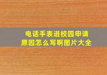 电话手表进校园申请原因怎么写啊图片大全