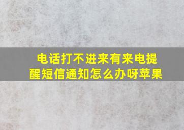 电话打不进来有来电提醒短信通知怎么办呀苹果